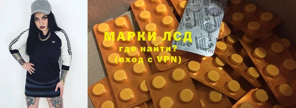 сатива Богородицк