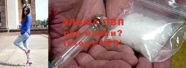 шишки Белокуриха