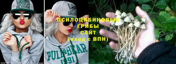 дурь Богородск