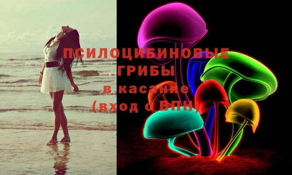 дмт Богданович